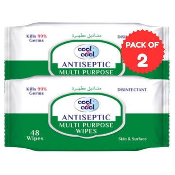 Antiseptic House Hold Wipes 48 Sheets Pack of 2