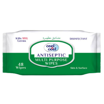 Antiseptic House Hold Wipes 48 Sheets Single Pack