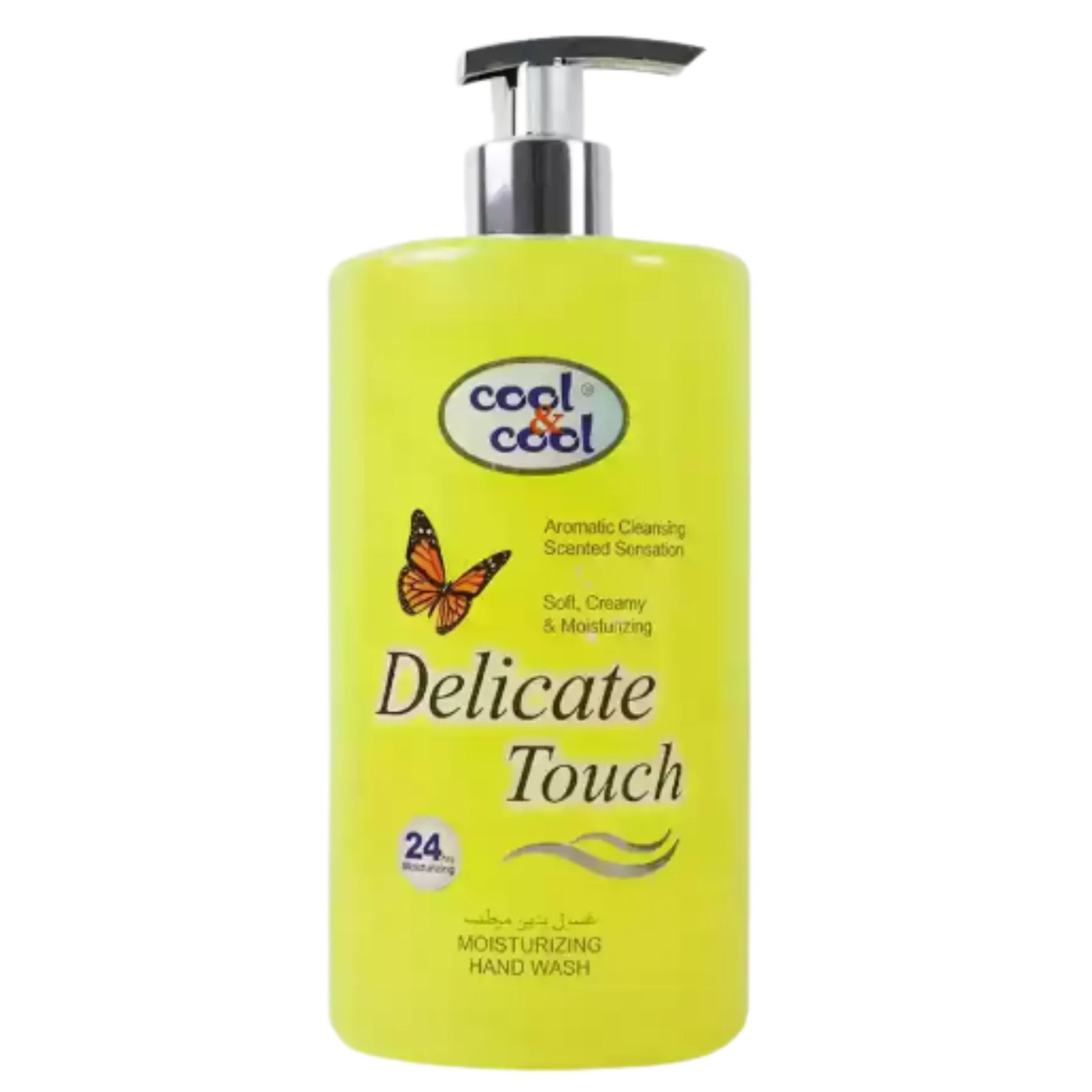 Delicate Touch Delicate Touch Hand Wash 1 Liter
