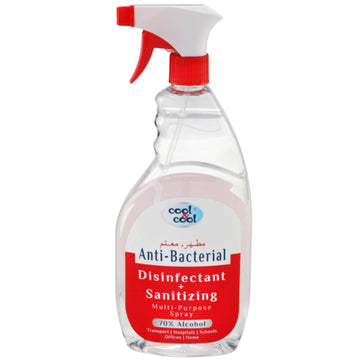 Disinfectant And Sanitizing Multi Purpose Spray 750ml