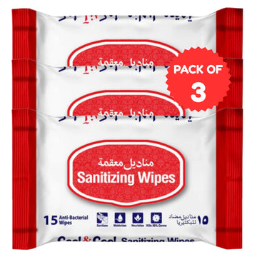 Sanitizing Wipes 15 Sheets Pack of 3