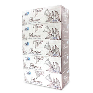 Luxury Facial Tissue Breeze 200's 2ply (1x5)